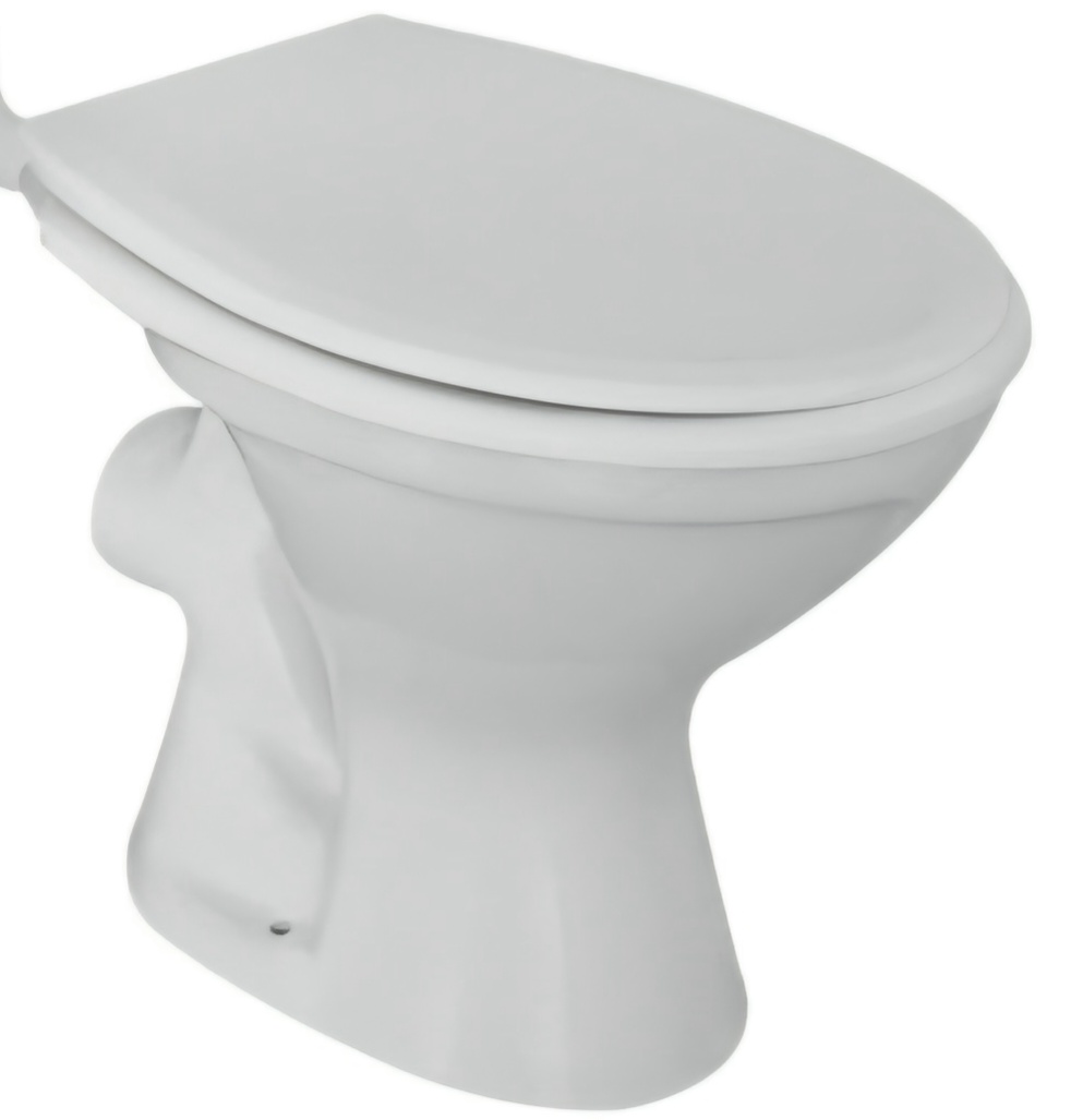 Toilet seat
